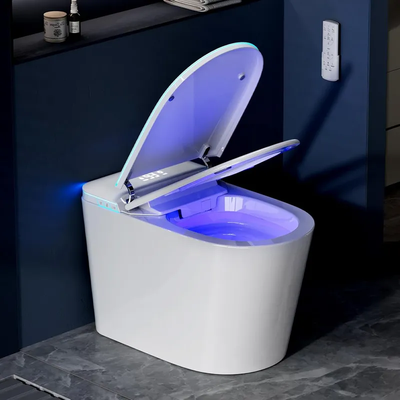 Vipbear Modern Tankless Toilet with UV for Bathroom