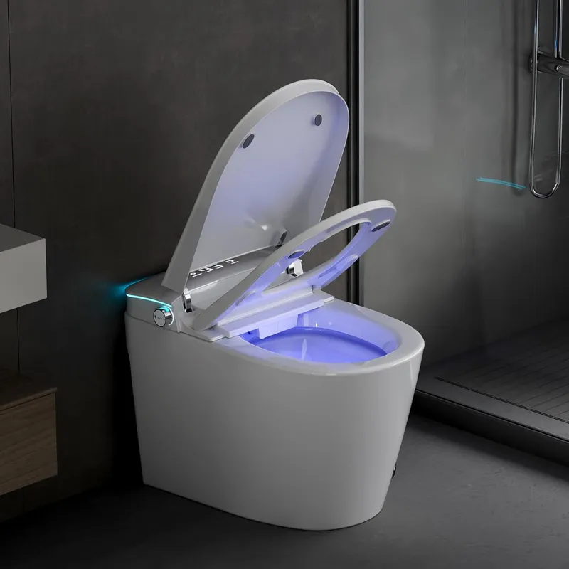Vipbear Smart Toilet with Bidet Built in